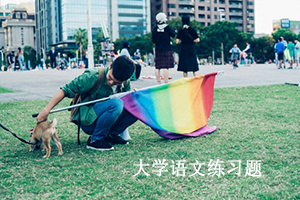 普通专升本大学语文