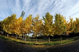 大专第三年才开始准备普通专升本考试来得及吗？该如何备考？